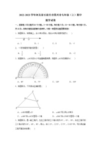 _河北省石家庄市晋州市2022-2023学年七年级上学期期中数学试卷(含答案)