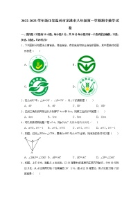 _浙江省温州市龙港市2022-2023学年八年级上学期期中考试数学试卷(含答案)