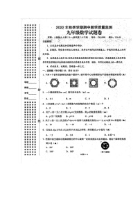 湖北省恩施州巴东县2022-2023学年九年级上学期期中教学质量监测数学试题（含答案）