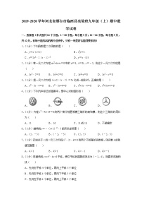 2019-2020学年河北省邢台市临西县实验班九年级（上）期中数学试卷