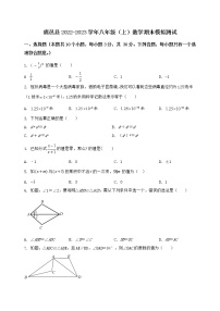 河南省鹿邑县2022-2023学年八年级（上）数学期末模拟测试（含答案及详解）