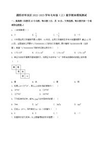 河南省濮阳市华龙区2022-2023学年七年级（上）数学期末模拟测试（含答案及详解）