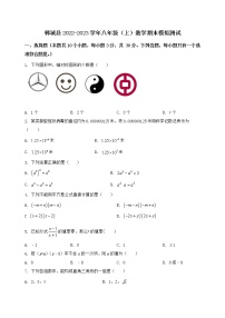 河南省郸城县2022-2023学年八年级（上）数学期末模拟测试（含答案及详解）