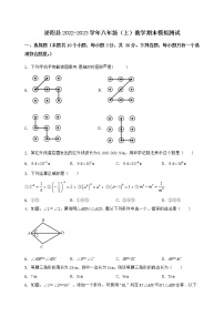 河南省泌阳县2022-2023学年八年级（上）数学期末模拟测试（含答案及详解）