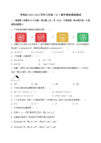 河南省平舆县2022-2023学年八年级（上）数学期末模拟测试（含答案及详解）