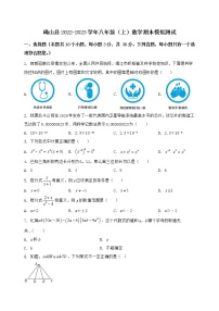 河南省确山县2022-2023学年八年级（上）数学期末模拟测试（含答案及详解）