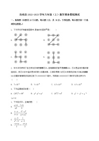 河南省汝南县2022-2023学年八年级（上）数学期末模拟测试（含答案及详解）