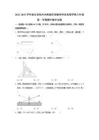 浙江省杭州市西湖区保俶塔申花实验学校2022-2023学年八年级上学期期中数学试卷(含答案)