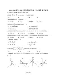2022-2023深圳市深实验八年级上册数学期中真题试卷