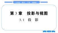 湘教版九年级下册3.1 投影习题课件ppt