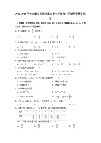 安徽省芜湖市无为市2022-2023学年七年级上学期期中数学试卷 （含答案）