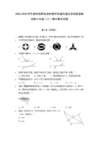 贵州省黔东南州教学资源共建共享实验基地名校2022-2023学年八年级上学期期中数学试卷 （含答案）