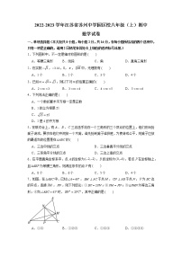 江苏省苏州中学园区校2022-2023学年八年级上学期期中数学试卷（含答案）