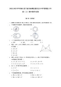 浙江省宁波市海曙区雅戈尔中学等四校2022-2023学年八年级上学期期中数学试卷 （含答案）