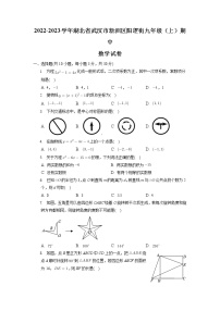 湖北省武汉市新洲区阳逻街2022-2023学年九年级上学期期中考试数学试题（含答案）