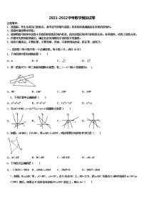 新疆生产建设兵团农八师一四三团第一中学2021-2022学年中考试题猜想数学试卷含解析