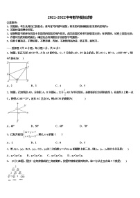 新疆维吾尔自治区喀什第二中学2022年中考数学考试模拟冲刺卷含解析