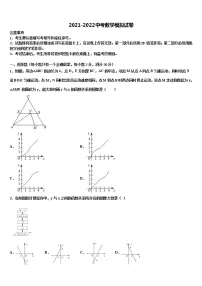 新疆维吾尔自治区乌鲁木齐市2021-2022学年初中数学毕业考试模拟冲刺卷含解析