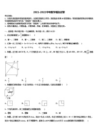 新疆乌鲁木齐市达标名校2021-2022学年中考数学猜题卷含解析