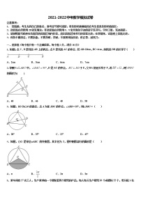 云南省大理州祥云县重点达标名校2021-2022学年中考数学全真模拟试卷含解析