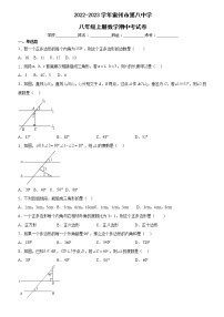 _广东省雷州市第八中学2022-2023学年八年级上学期数学期中测试题