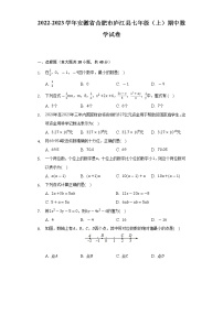 安徽省合肥市庐江县2022-2023学年上学期七年级期中数学试卷 (含答案)