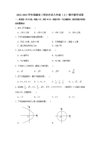 福建省三明市沙县2022-2023学年八年级上学期期中考试数学试卷 (含答案)