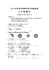 广西防城港市上思县2022-2023学年九年级上学期期中教学质量监测数学试题 (含答案)