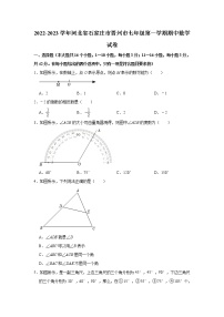 河北省石家庄市晋州市2022-2023学年七年级上学期期中考试数学试卷 (含答案)