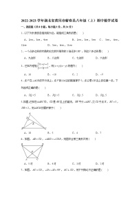 湖北省黄冈市蕲春县2022-2023学年八年级上学期期中考试数学试题 (含答案)