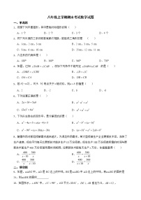 云南省保山市隆阳区2022年八年级上学期期末考试数学试题及答案