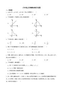 云南省文山壮族苗族自治州2022年八年级上学期期末数学试题及答案