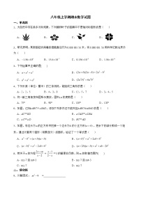 云南省玉溪市峨山彝族自治县2022年八年级上学期期末数学试题及答案