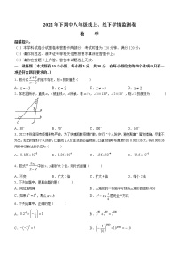 湖南省新邵县酿溪镇2022-2023学年八年级上学期期中考试数学试题(含答案)