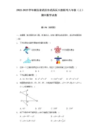 2022-2023学年湖北省武汉市武昌区八校联考八年级（上）期中数学试卷（含解析）