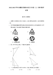 2022-2023学年安徽省芜湖市市区八年级(上)期中数学试卷(含解析)
