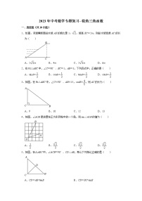 锐角三角函数 （试题）2023年中考数学专题复习 人教版