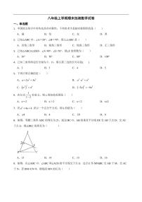 广东省惠州市惠东县2022年八年级上学期期末抽测数学试卷(附答案）