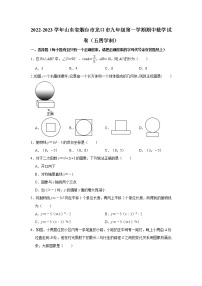 山东省烟台市龙口市2022-2023学年九年级上学期期中数学试卷（五四学制）(含答案)