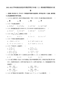 2021-2022学年湖北省武汉外国语学校八年级（上）期末数学模拟练习试卷