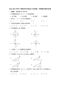 广西壮族自治区梧州市岑溪市2022-2023学年八年级上学期期中考试数学试题(含答案)