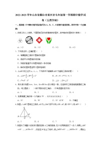 山东省烟台市莱州市2022-2023学年七年级上学期期中数学试卷（五四学制）(含答案)