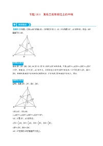 专题18.3 直角三角形斜边上的中线（重点题专项讲练）-最新八年级数学下册从重点到压轴（人教版）