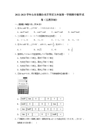 山东省烟台市芝罘区2022-2023学年九年级上学期期中数学试卷（五四学制） (含答案)