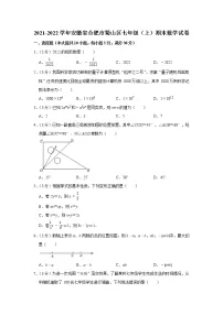 2021-2022学年安徽省合肥市蜀山区七年级（上）期末数学试卷