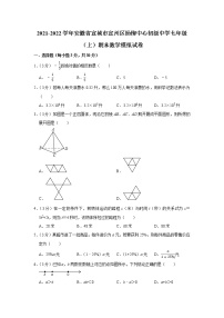 2021-2022学年安徽省宣城市宣州区杨柳中心初级中学七年级（上）期末数学模拟试卷