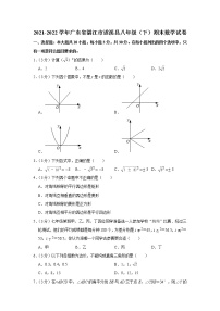 2021-2022学年广东省湛江市遂溪县八年级（下）期末数学试卷