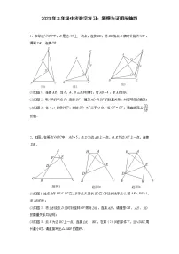 2023年九年级中考数学复习：猜想与证明压轴题