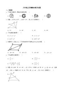 安徽省合肥市巢湖市2022年八年级上学期期末数学试题及答案