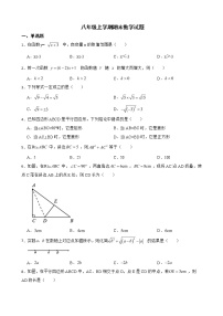 黑龙江省绥化市北林区2022年八年级上学期期末数学试题及答案